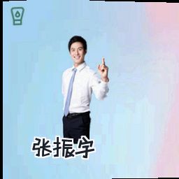 张振宇